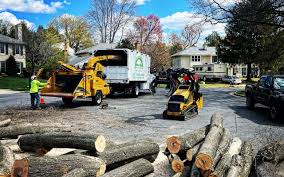 Best Utility Line Clearance  in Highland Village, TX